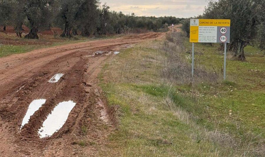 Estado actual del camino de la Reyerta